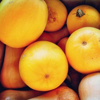 Bluemoonacres