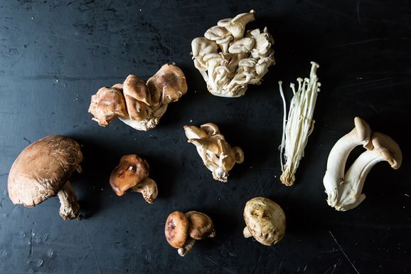 Mushrooms_1