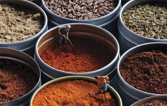 Spices