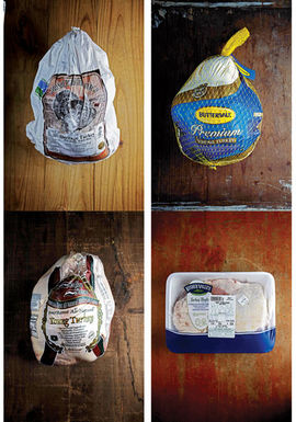 7-sav1110_turkey_hunt_p