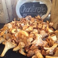 Chanterelle-mushrooms-la-funghi-001