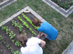 Duke-community-garden_top-view
