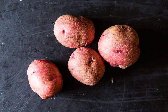 Food52_11-13-12-1852