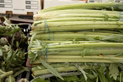 Cardoons