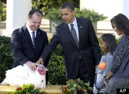 S-obama-turkey-pardon-large