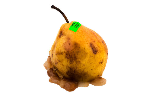 Pear-rotten-buglewicz01