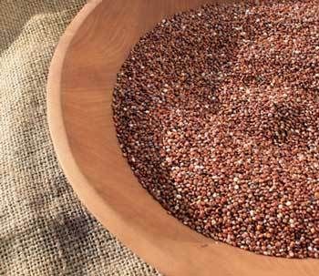 Red-quinoa