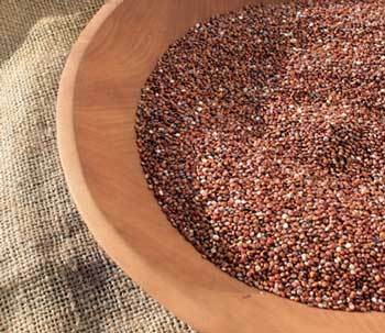 Red-quinoa