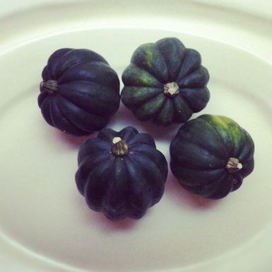 Gourdy