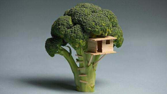 Broccolihouse