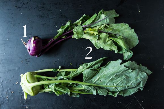Kohlrabi_1