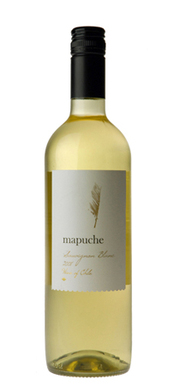 Mapuche-101103145_med