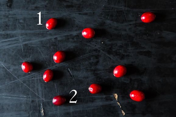 Cranberries_1