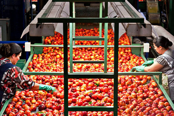 0107-food-safety-630x420