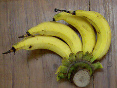 Kluay-buat-chee-header1