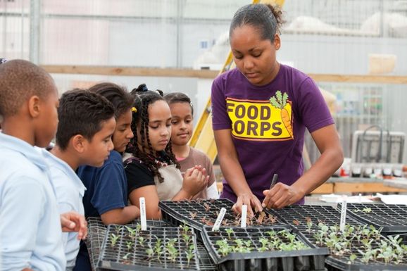 Stephaniemanykidsseedlings-680x453
