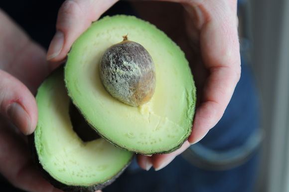 Avo