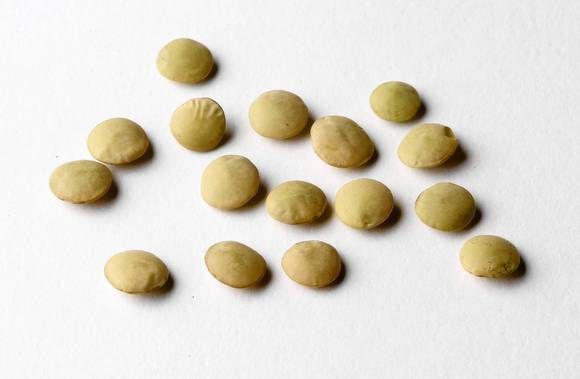 La-1217751-fo-0124-lentils-04-rrd.jpg-20130131