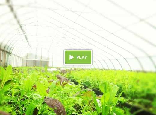 Screen_shot_2013-02-11_at_10.27.46_pm