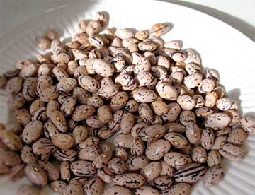 Borlotti
