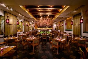 Park_ave_spring_