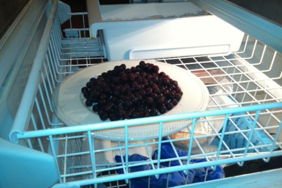 Leiner-freezer1