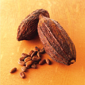 Cocoa