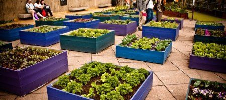 Full_1362002108rooftop-garden-670x300