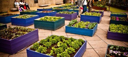 Full_1362002108rooftop-garden-670x300
