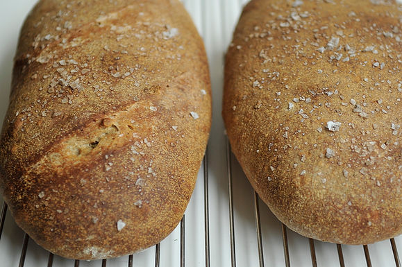 Ciabatta__shatz