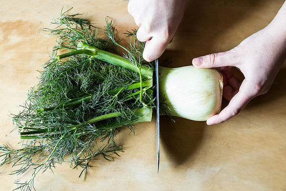 Fennel