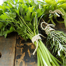 Herbs