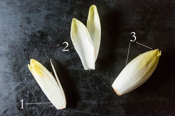 Endive2
