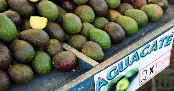 Avocado-farm-stand