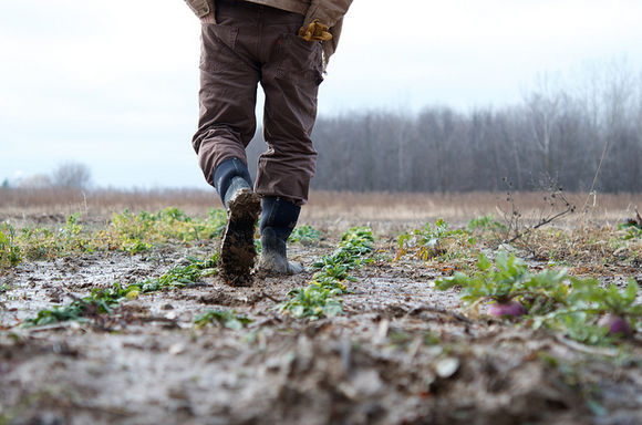 Farmers