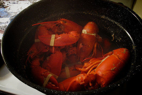 Lobster-steamer-620