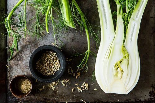 Fennel