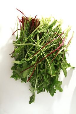 Lat-la-fo-dandelion-la0008873460-20130328