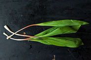 Essays: The Leek Shall Inherit the Earth