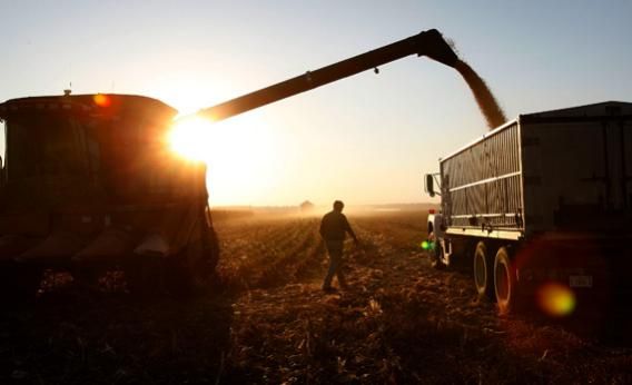 Modern_american_farmer