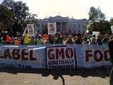Washington-state-gmo-labeling-initiative-to-go-to-the-voters-in-a-november-ballot_dnm_homepage