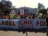 Washington-state-gmo-labeling-initiative-to-go-to-the-voters-in-a-november-ballot_dnm_homepage