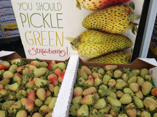 Green_strawberries_575_cuesa