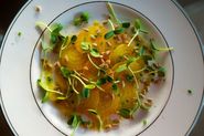 How to Hustle Spring Along: Grow Your Own Sprouts