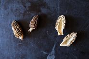 Morels: Perhaps Not Mushrooms, But Still Fungi