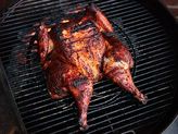 33 Ways to Grill Chicken 