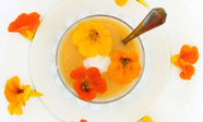 Edible Flowers: A Primer