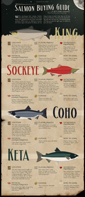 Salmonbuyingguide_final_5.1.13