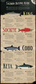 A Guide to Buying Salmon