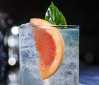 The Classic Gin and Tonic